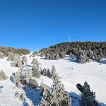 Le Cerfblanc Les Angles