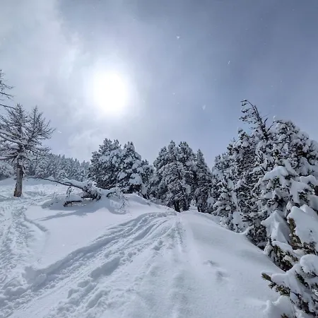 Lejlighed Le Cerfblanc Les Angles (Pyrenees-Orientales)